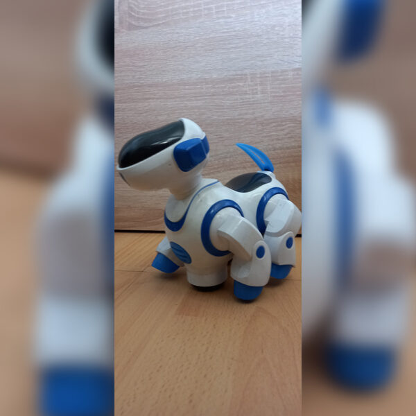 catel-robot4 Robot catel pentru copii